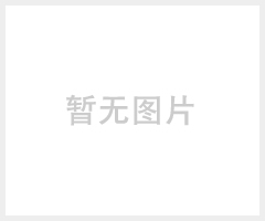 网络摄像机（BB-HCM581 POE室内型）